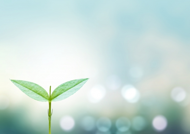 ショールームオープニングプロジェクト