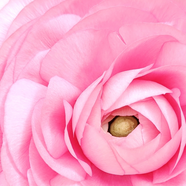 ブラッシュアップスクールにて話し方講座